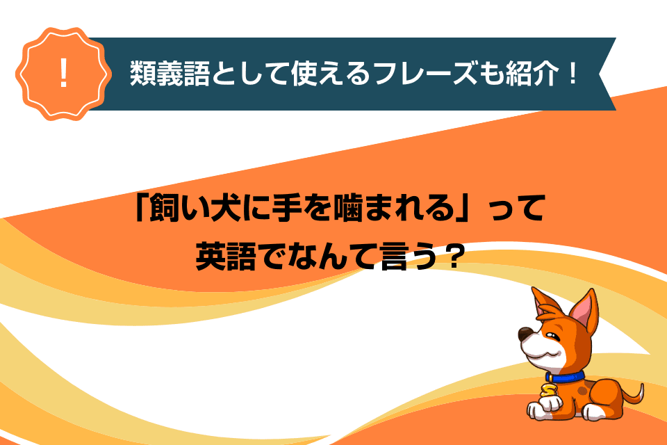 「飼い犬に手を噛まれる」って英語でなんて言う？類義語として使えるフレーズも紹介！