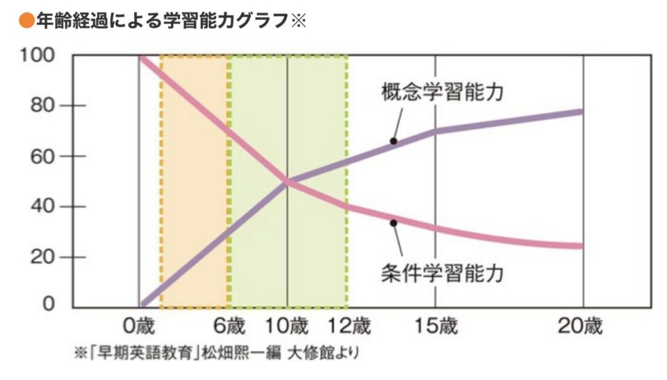 年齢経過による学習能力グラフ