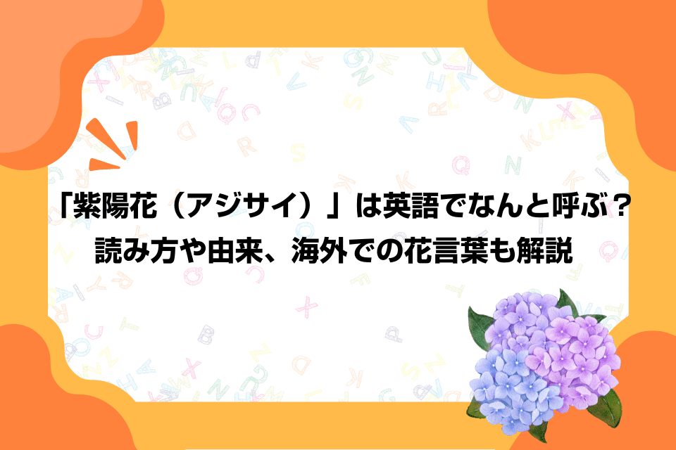 「紫陽花（アジサイ）」は英語でなんと呼ぶ？読み方や由来、海外での花言葉も解説