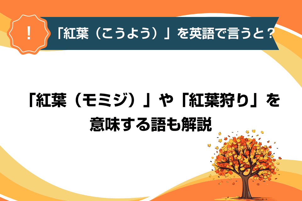 「紅葉（こうよう）」を英語で言うと？「紅葉（モミジ）」や「紅葉狩り」を意味する語も解説