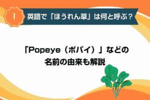 英語で「ほうれん草」は何と呼ぶ？「Popeye（ポパイ）」などの名前の由来も解説