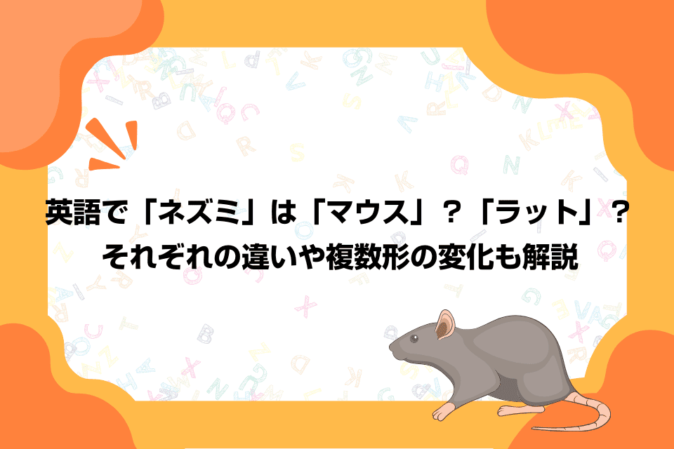 英語で「ネズミ」は「マウス」？「ラット」？それぞれの違いや複数形の変化も解説